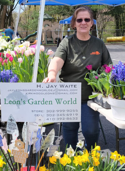 Ann Waite Leon's Garden World