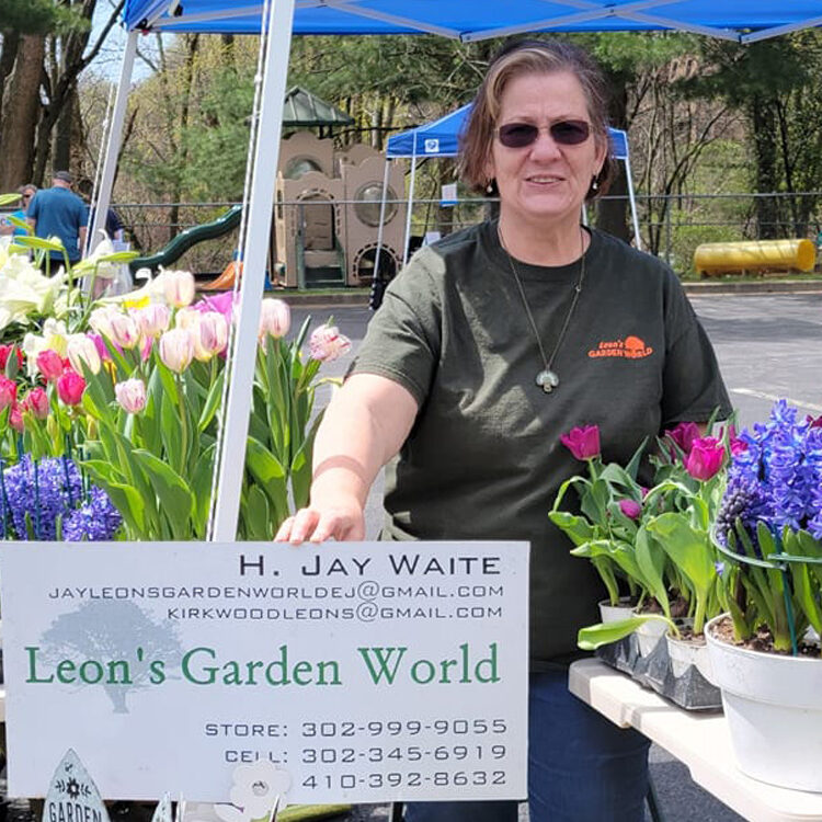 Ann Waite Leon's Garden World