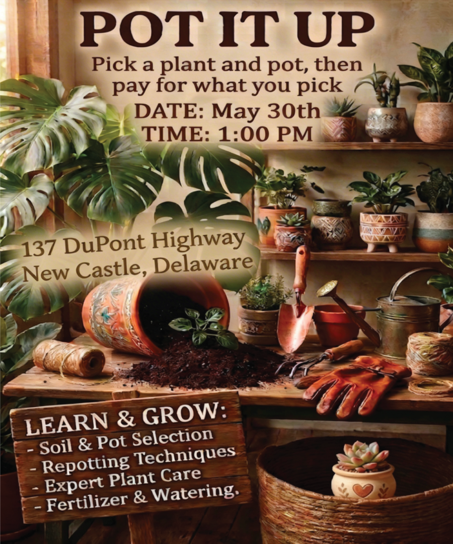 Pot It Up – Plant Potting Workshop